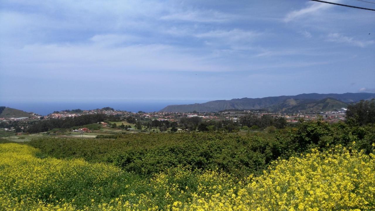 Apartamento Privado En Una Zona Tranquila Y Proxima Al Aeropuerto Tf Norte Y A La Ciudad De San Cristobal De La Laguna . Δωμάτιο φωτογραφία